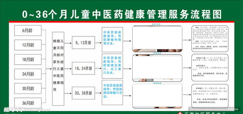 兒童中醫藥健康管理服務流程圖 信息系統集成與商業插畫設計